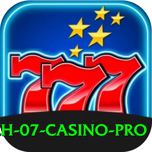 Super Rich 07 - Casino Pro - 2